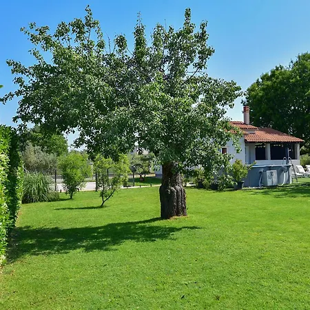 House Alex 2434 Tatil Evi